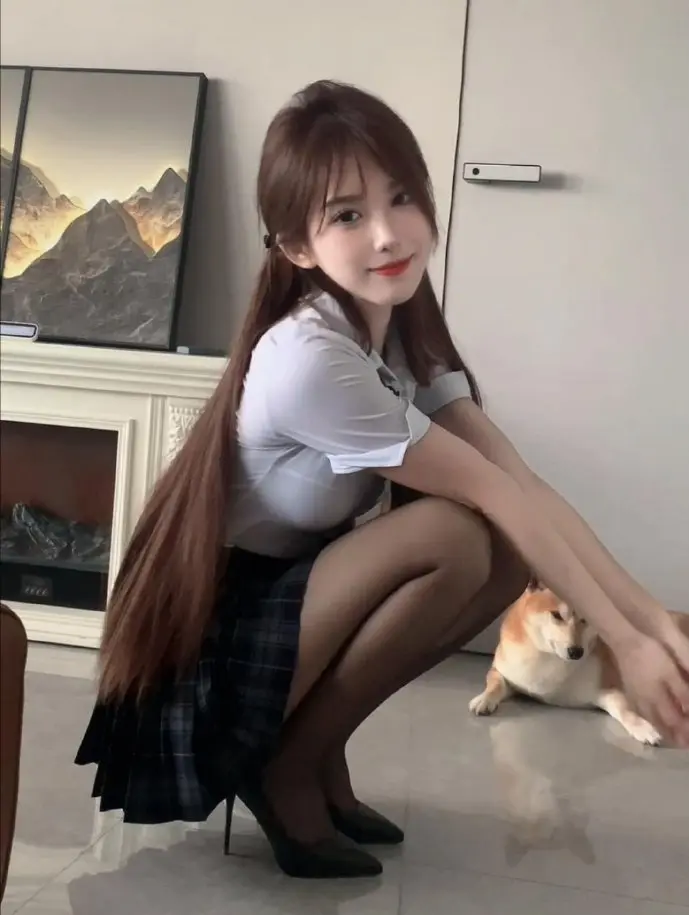 天正插件界面示意图