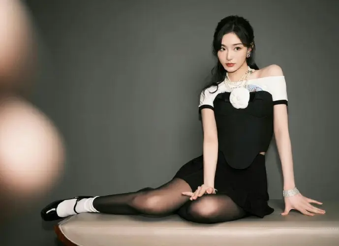 字幕器下载数据分析图表